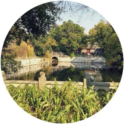 终结者2审判日果盘版下载